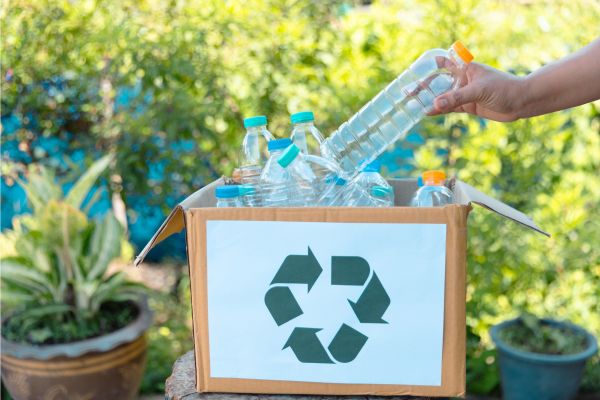 recyclage bouteille plastique tarif auchan