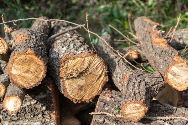 calcul stere de bois