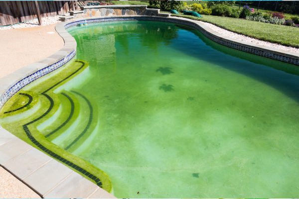 eau de piscine verte remede de grand mère